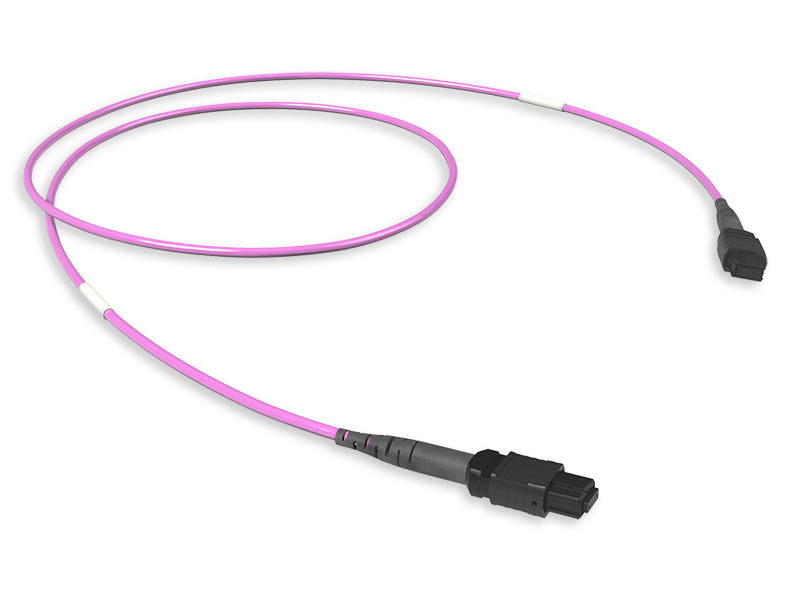 MTP(8) CONNECTION ASSEMBLY OM4
